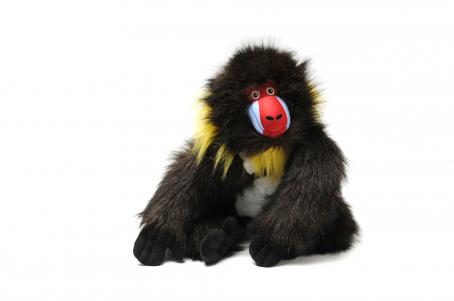 zoobiebaboon.jpg