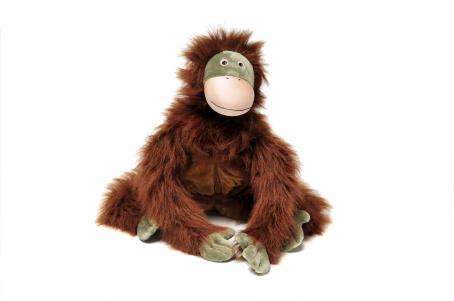 zoobieorangutan.jpg
