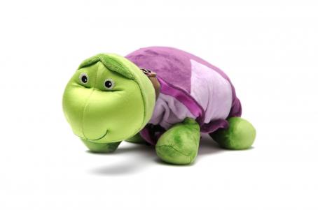 zoobietortoise.jpg
